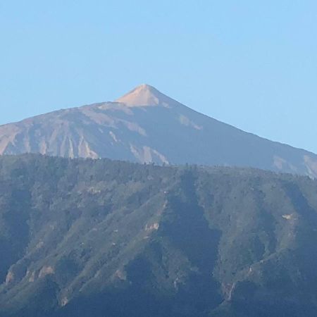 Centrico Y Coqueto Apartamento Puerto de la Cruz  Exteriér fotografie